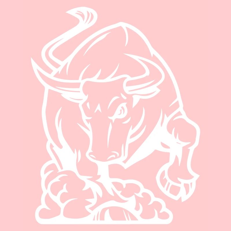 stier