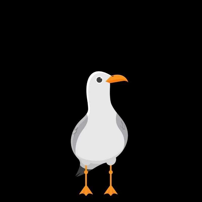 MOIN Möwe