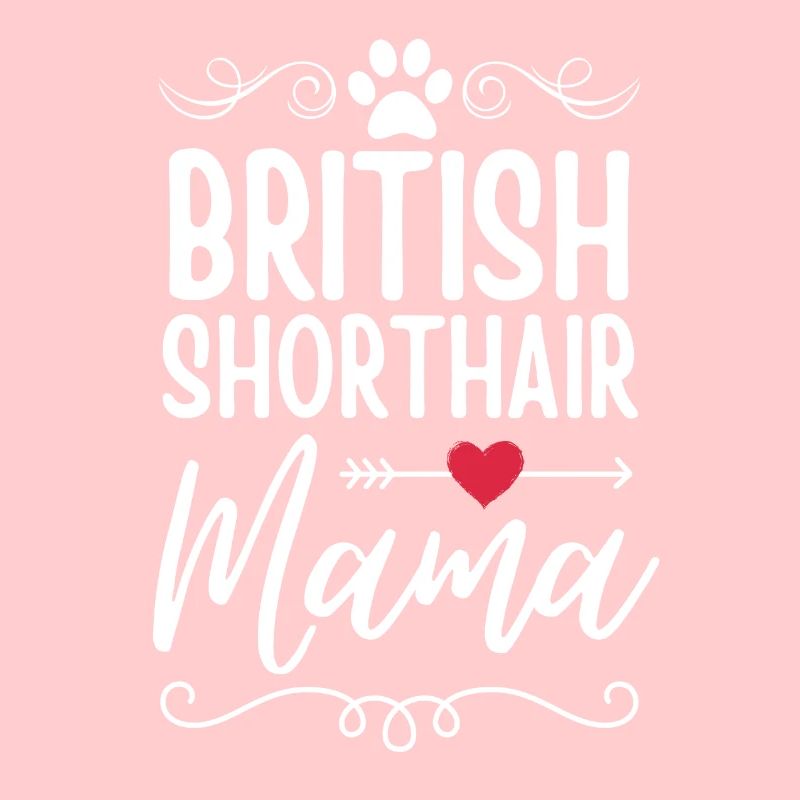 Britisch Kurzhaar Mama