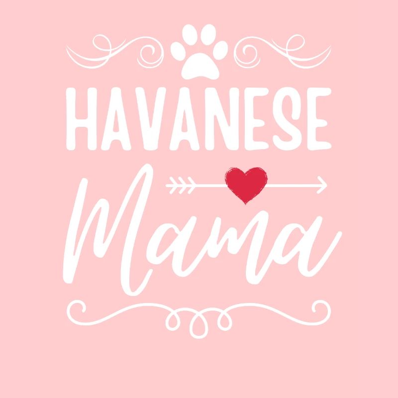 Havanese Mama