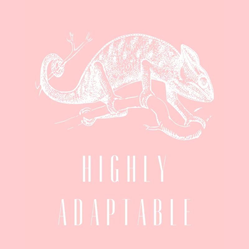 Chameleon Adaptiveness Adjustability Techno Music