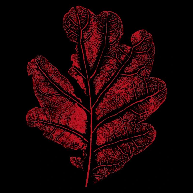 Blatt Eiche - Mit Rissen / Eichenblatt Botanisch