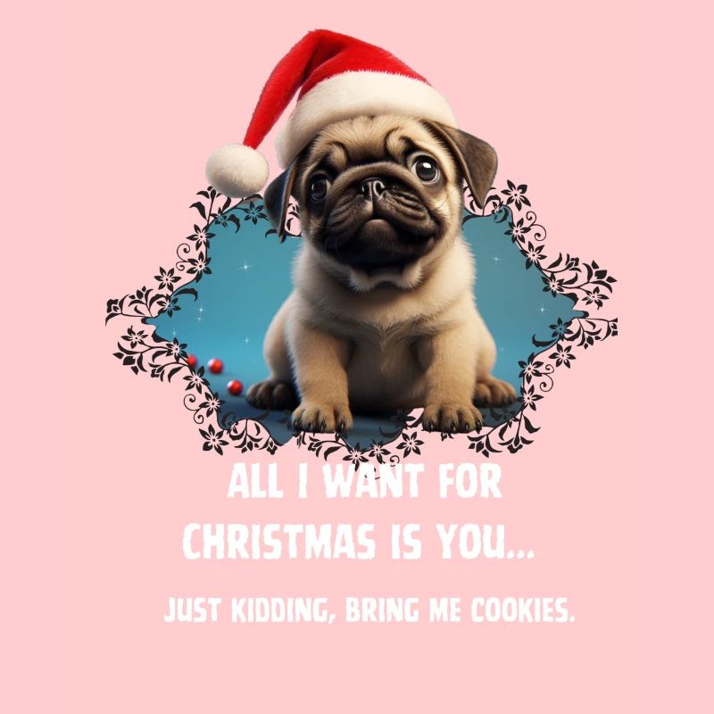 Cookies or you? Pug Wish!