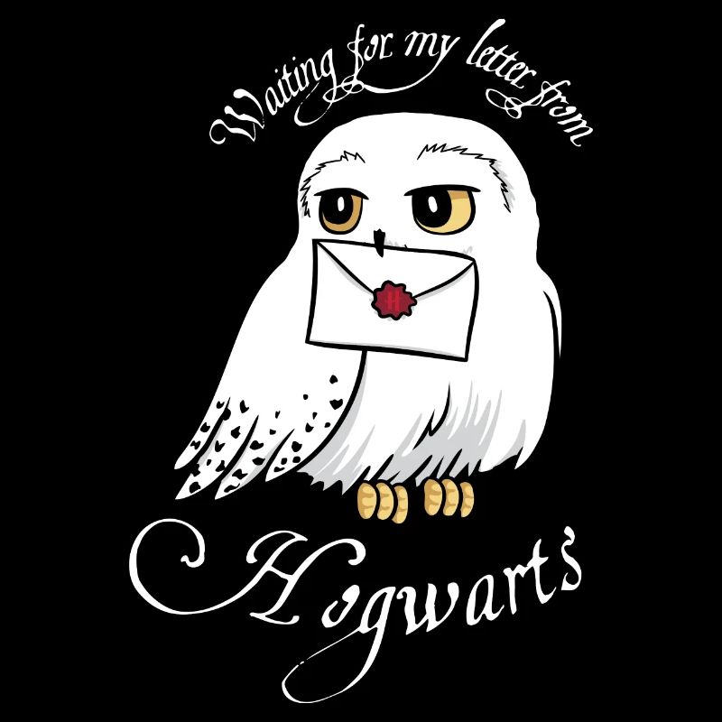 Harry Potter Hedwig Brief