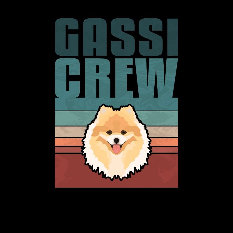 Gassi Crew, Zwergspitz