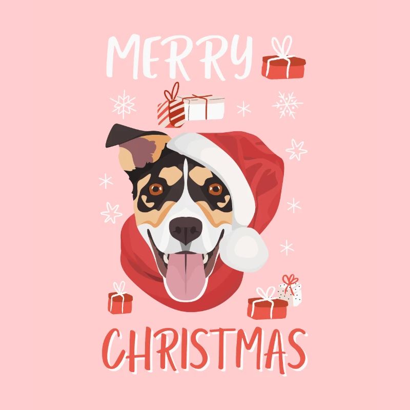 Jack Russell Terrier Noël