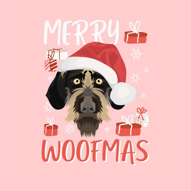 German Wirehair Joyeux Noël