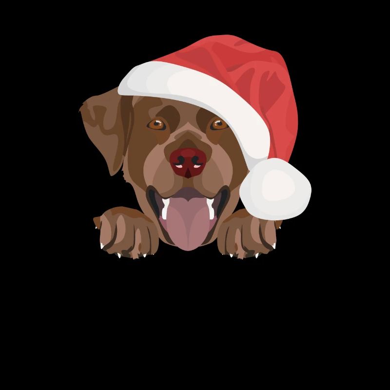 Joyeux Noël Labrador