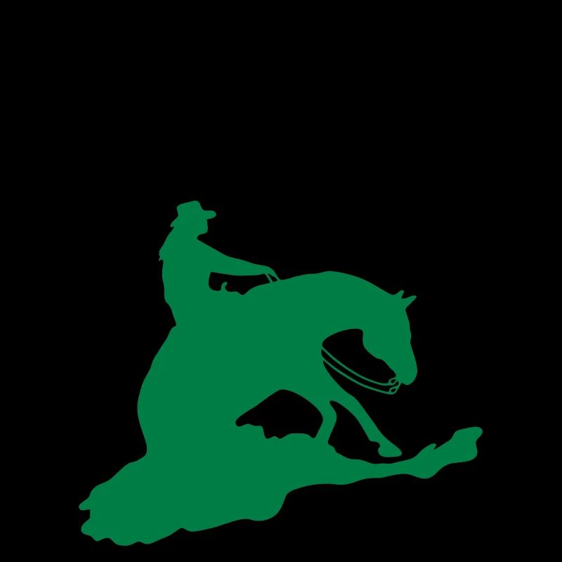 Reining Pattern Sliding Stop