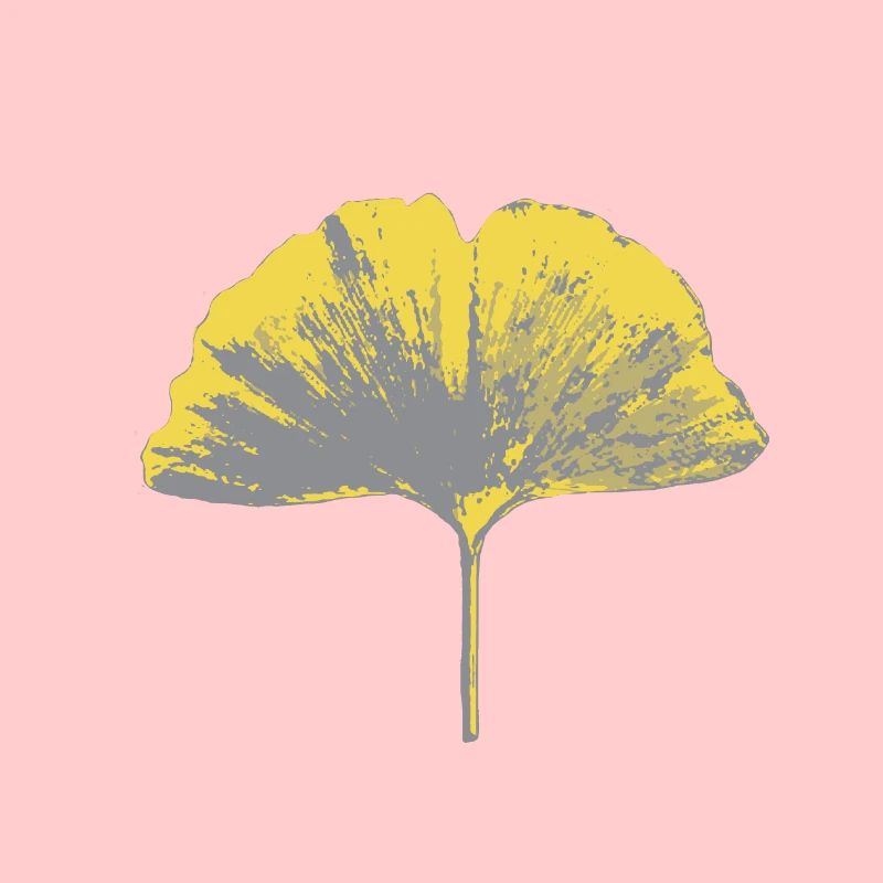 Feuille de ginko