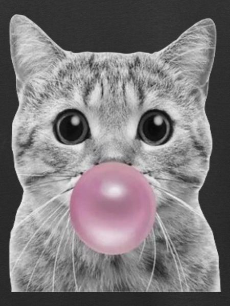 Chat bulle