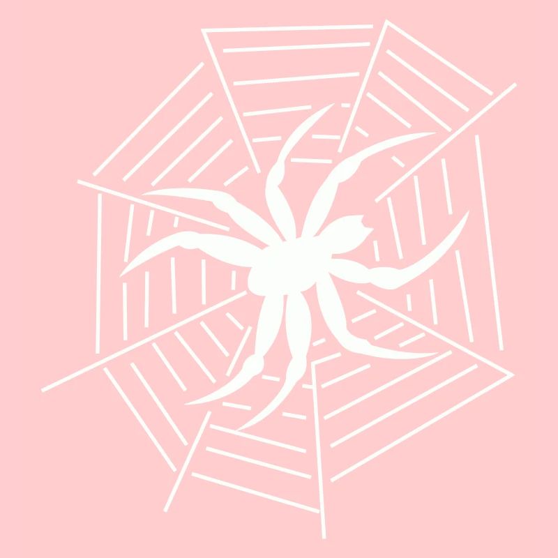 Spinne Spider