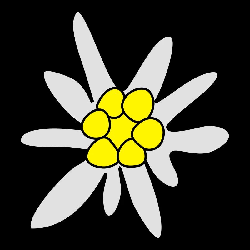 Edelweiss, fleur