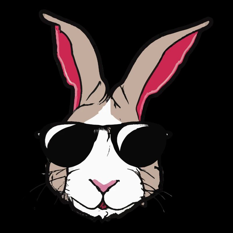Rabbit with sunglasses Rabbit's head Gift idea