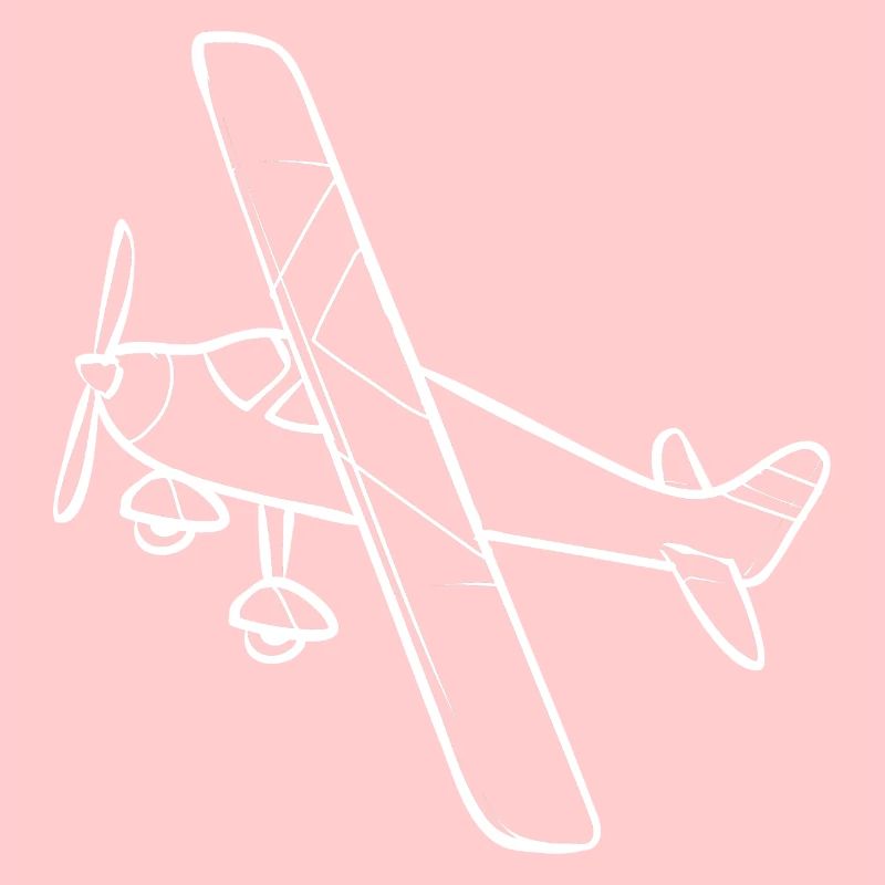 Modèle d’avion télécommandé