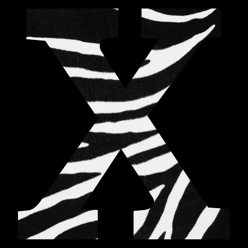 Buchstabe x Zebra