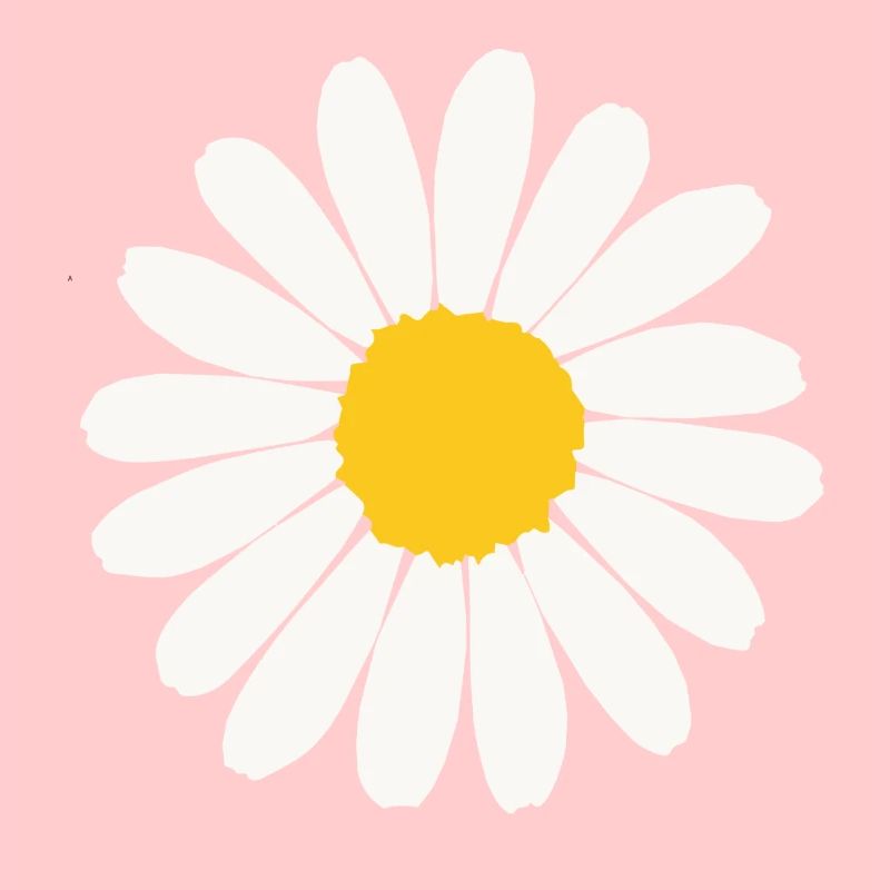 Gänseblume