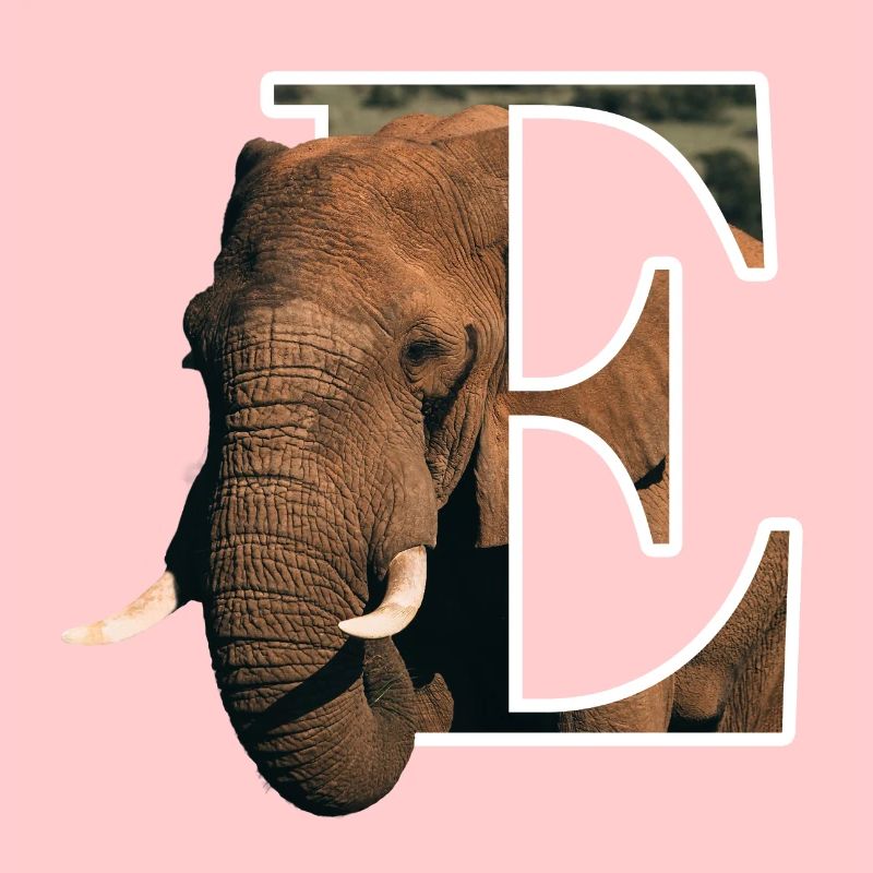 E Elephant alphabet animals