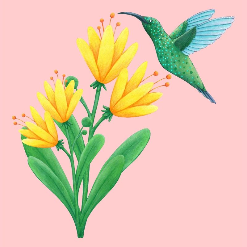 petit colibri