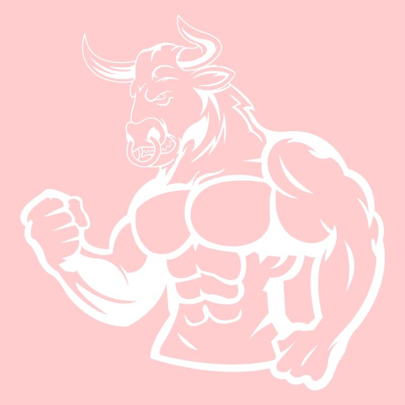 bull 1
