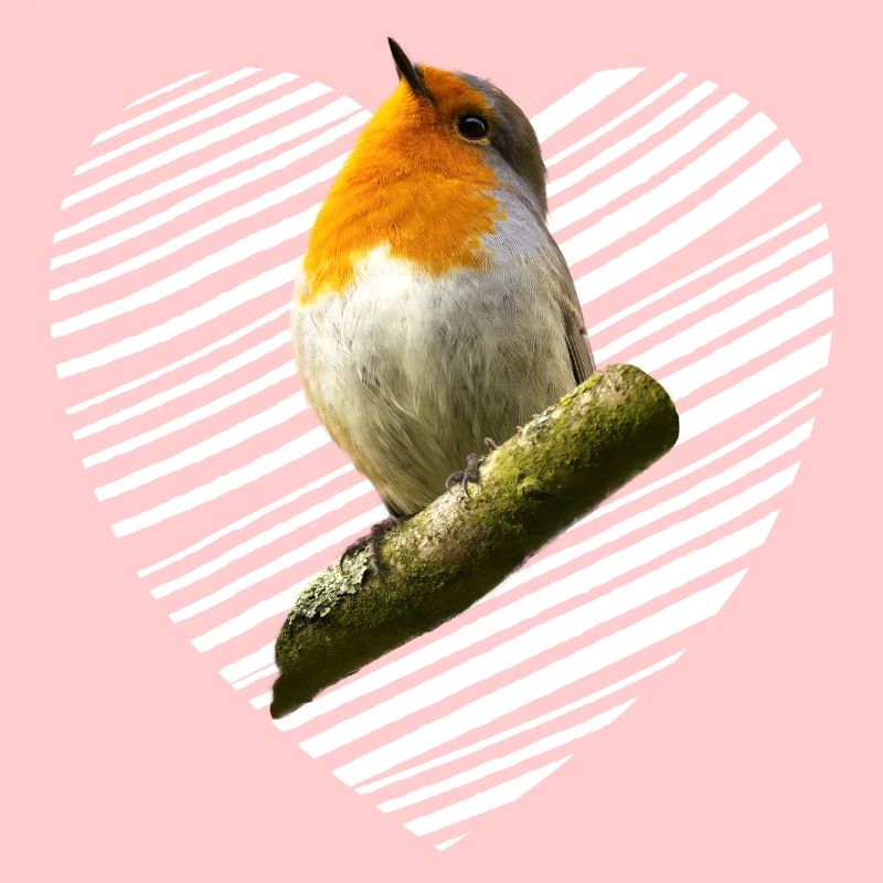 Rotkehlchen Singvogel
