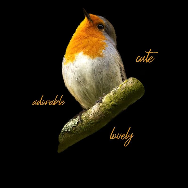 Rotkehlchen Singvogel