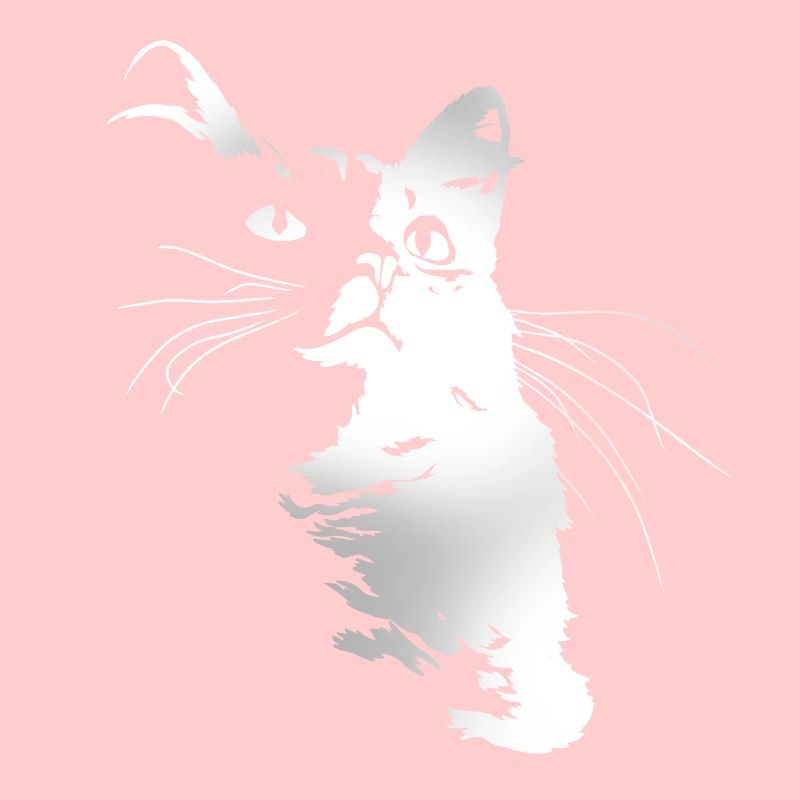 Chat