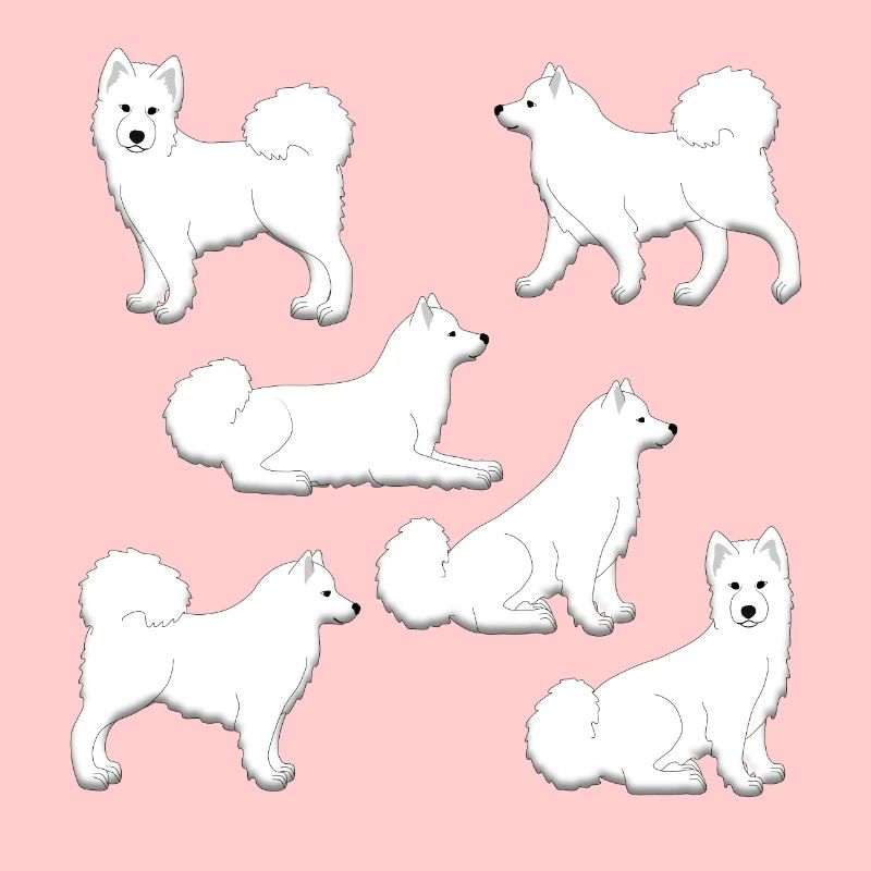 Samoyed selection