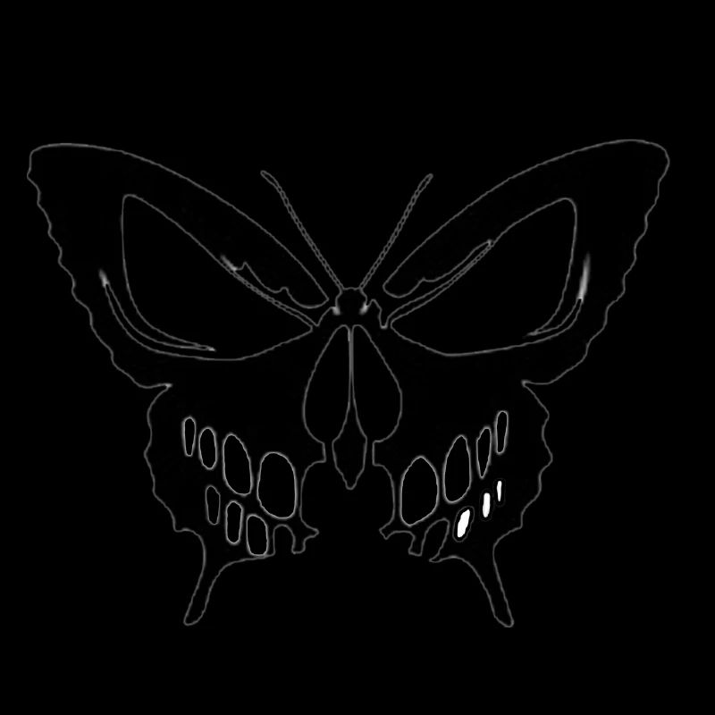 Papillon-crâne
