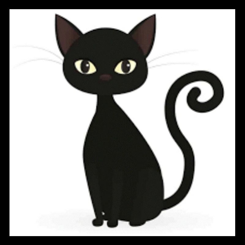 schwarze Katze