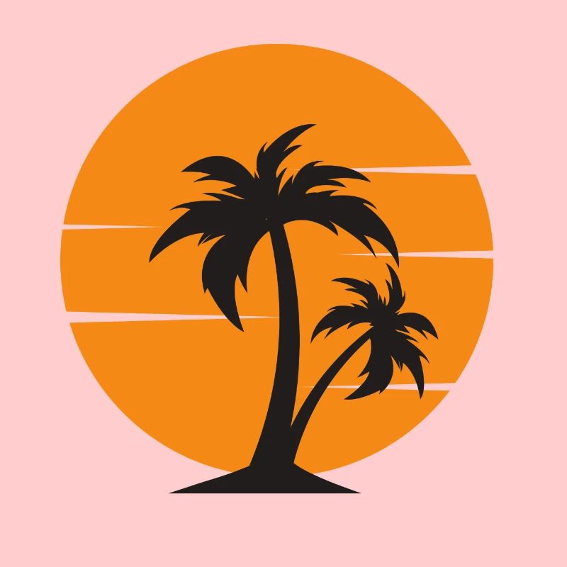 coucher de soleil avec palmier