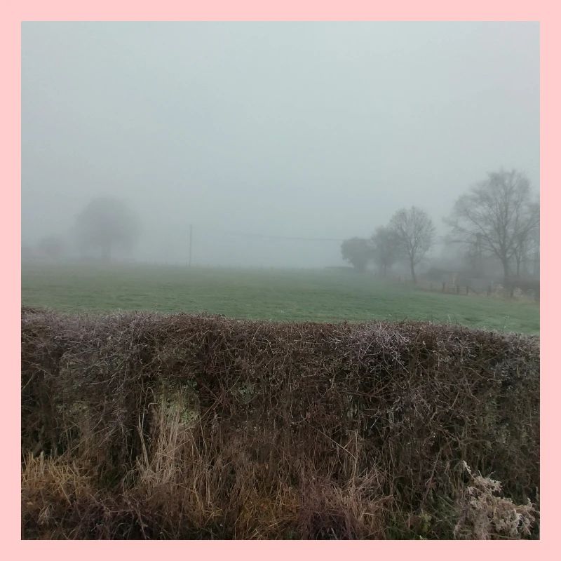 Brouillard