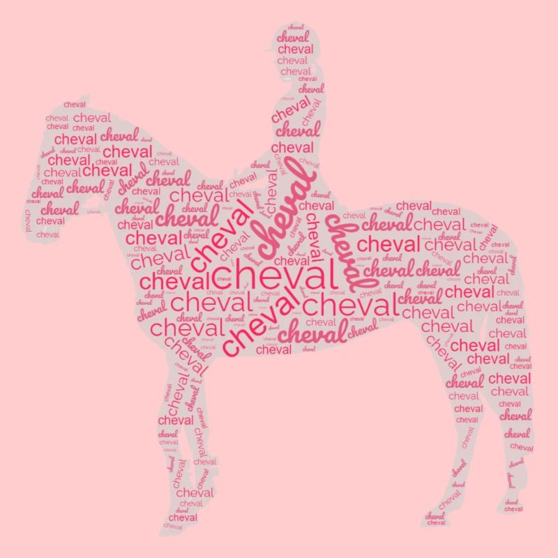 Cavalière cheval nuage de mots rose
