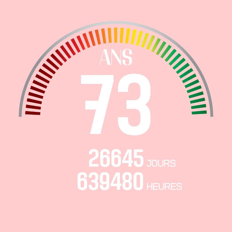 Anniversaire 73 ans Compteur