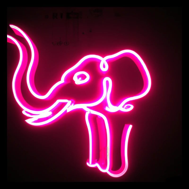 help_for_elephants_05