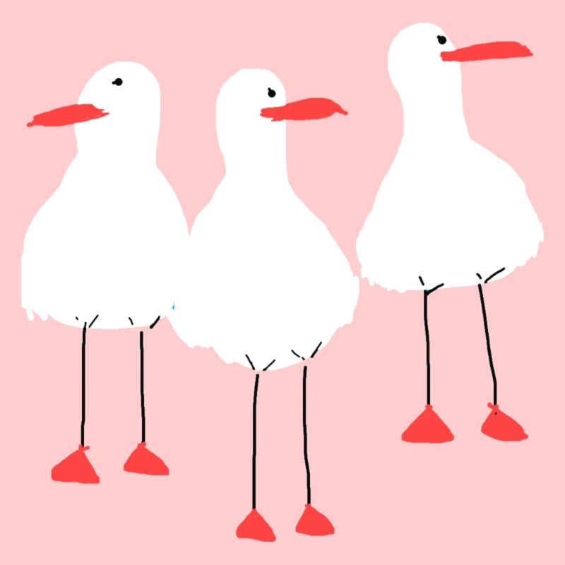 Möwen