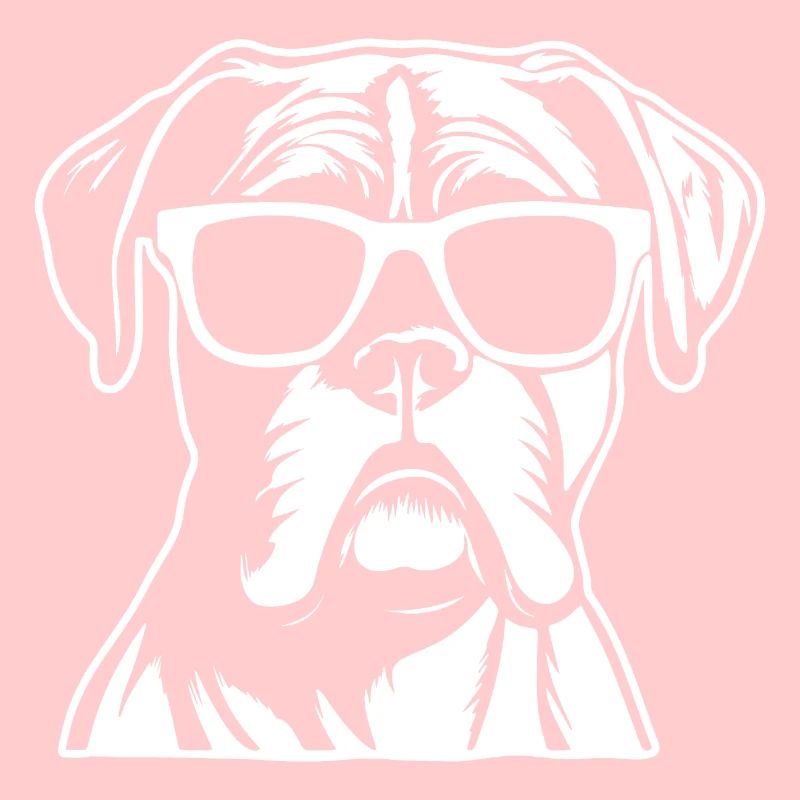 Boxer Hund Hunderasse