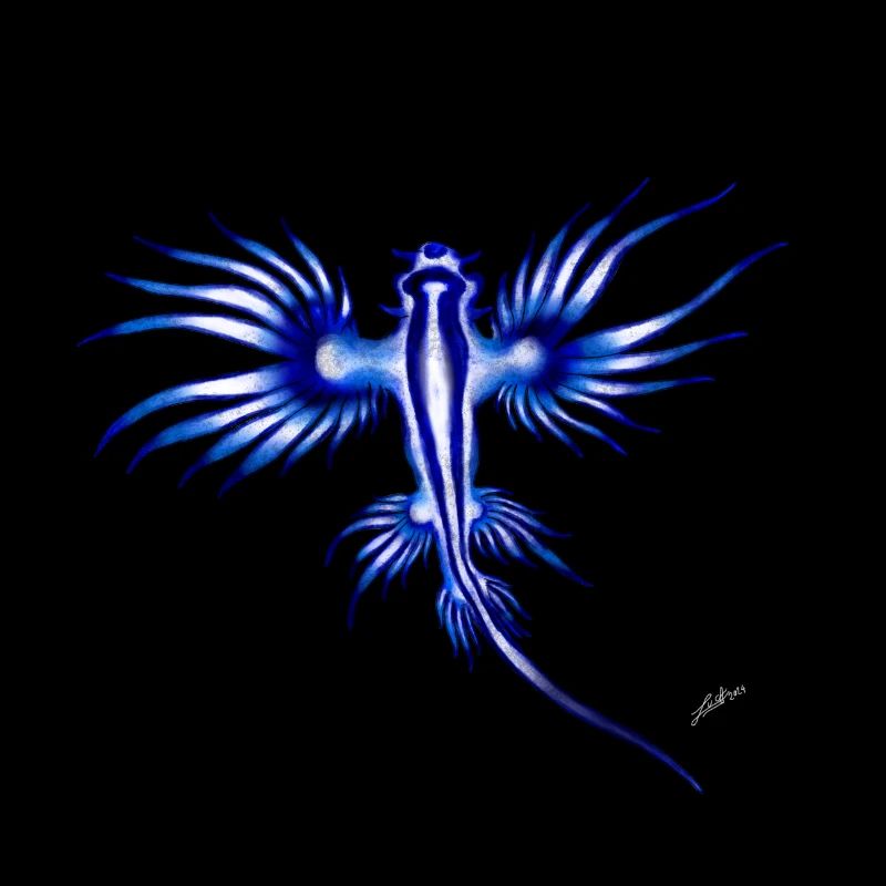 DRAGON BLEU
