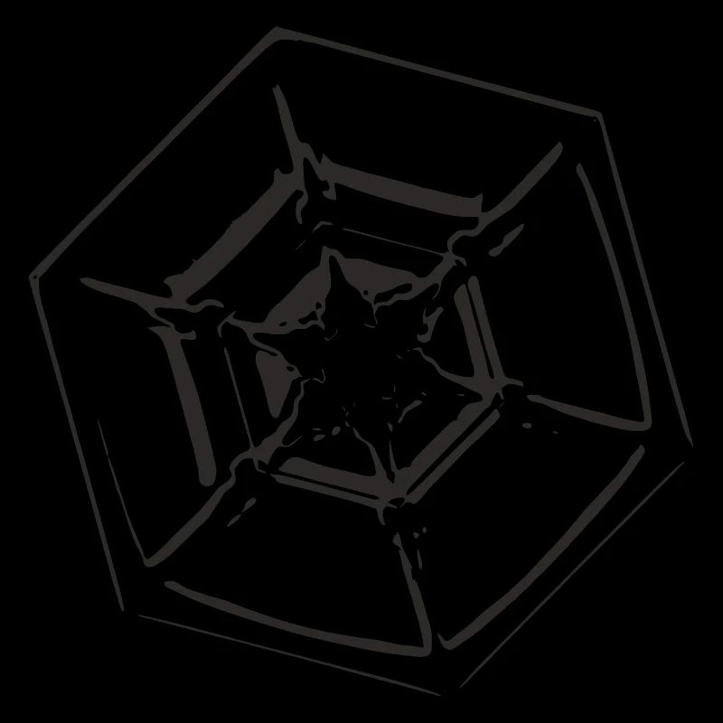 snowflake 4 black