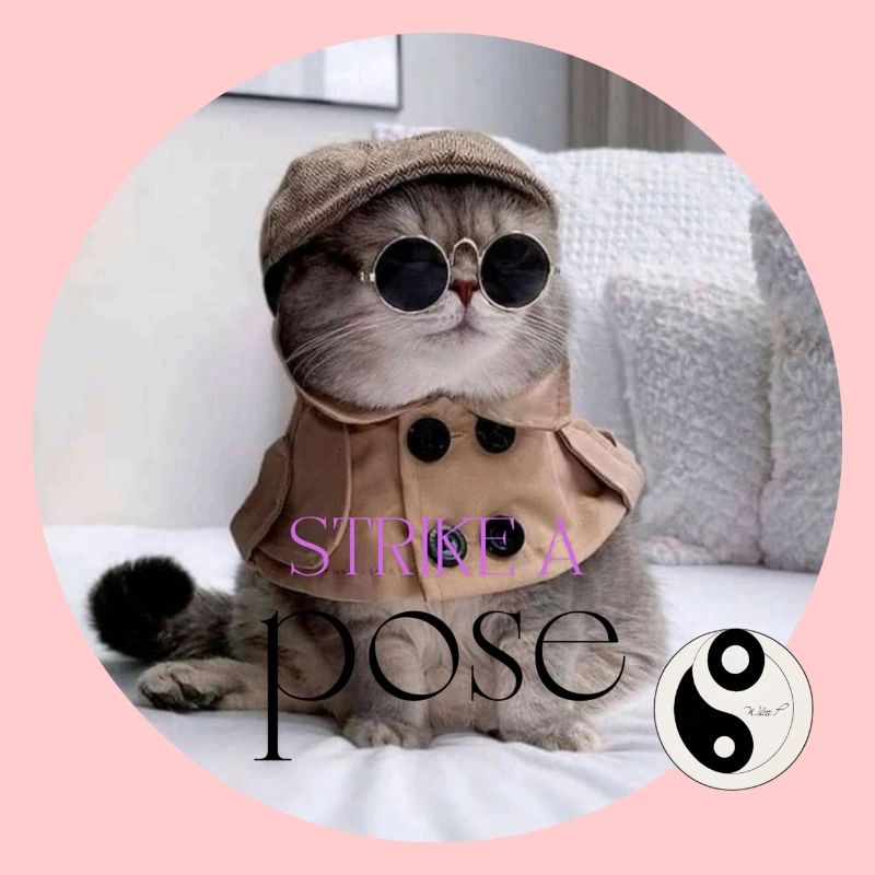 White P. Strike A Pose