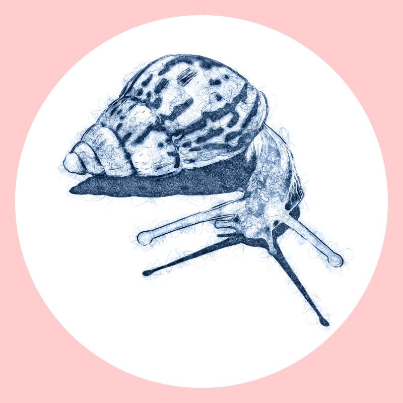 snail with shadow scribble art