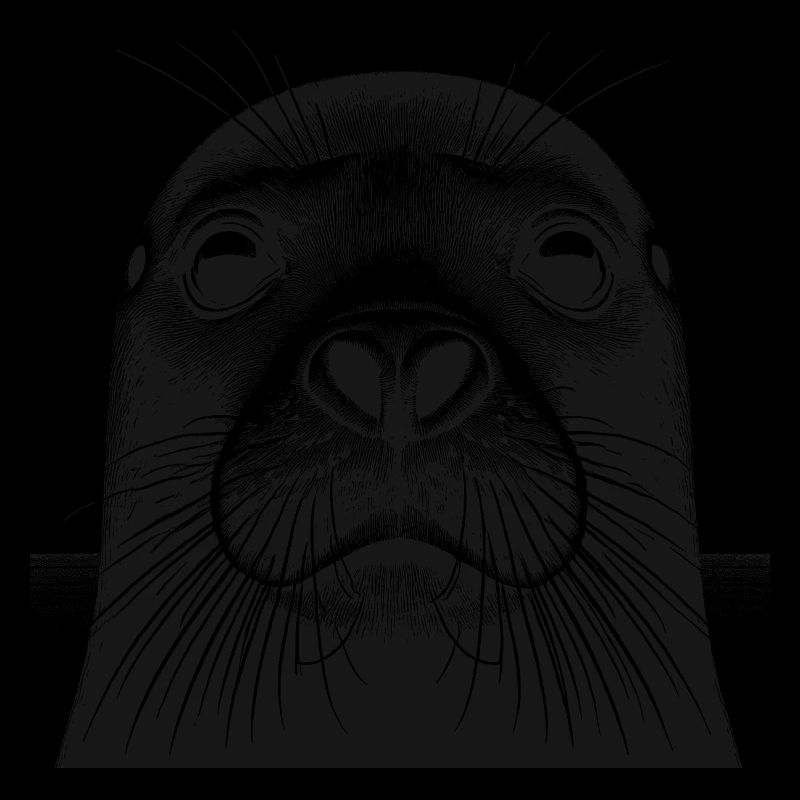 Seehund