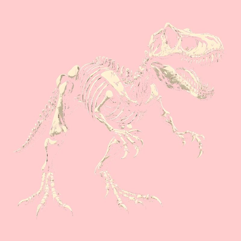 T-Rex Skelett Dinosaurier Dino
