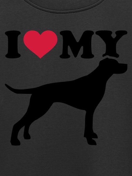 English Pointer