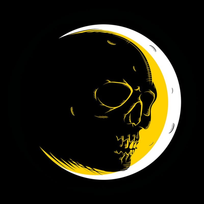 La face cachée de la Lune