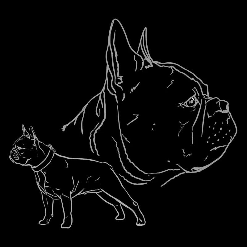 Français Bouledogue