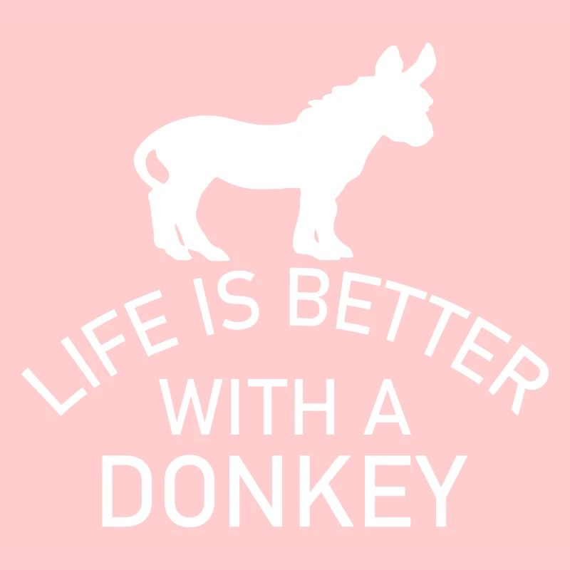 Donkey Esel