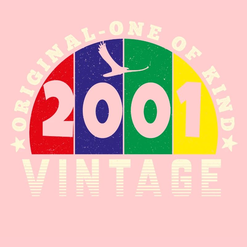 Vintage 2001 Retro - Bursdag