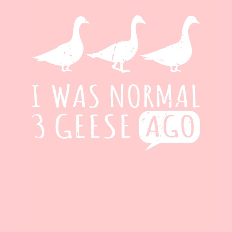 ich war normal vor drei gänsen gans geese goose