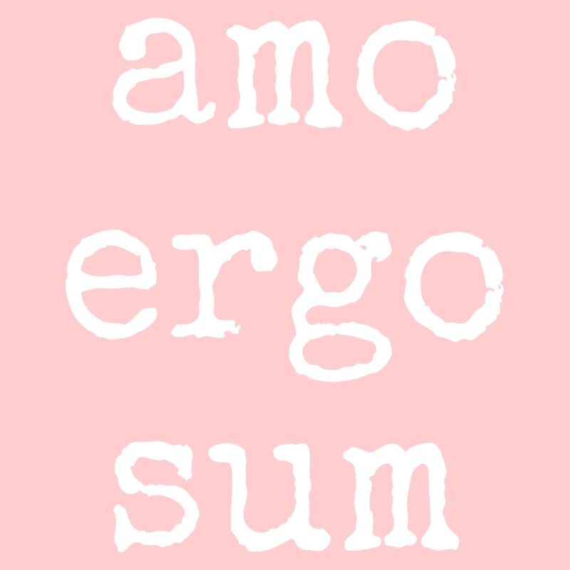 amo ergo sum - ich liebe also bin ich - Spruch